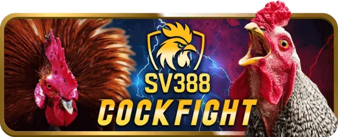 Quy trình rút tiền v99 APK